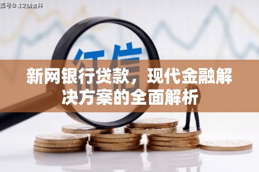 黑水新网银行贷款，现代金融解决方案的全面解析