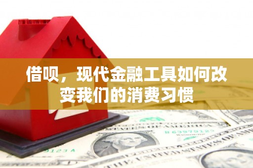 津南借呗，现代金融工具如何改变我们的消费习惯