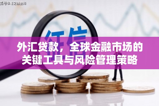 济宁外汇贷款，全球金融市场的关键工具与风险管理策略