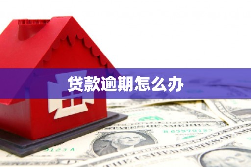 氹仔岛贷款逾期怎么办