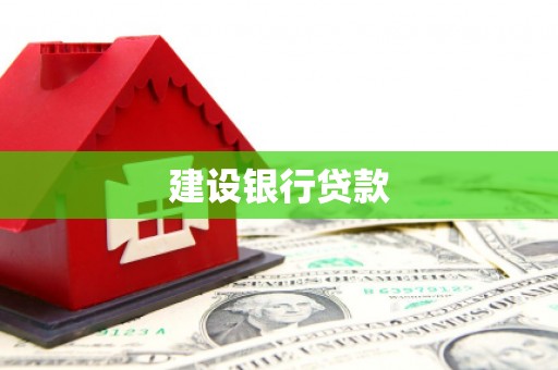 新龙建设银行贷款
