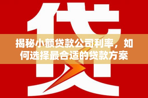 东川揭秘小额贷款公司利率，如何选择最合适的贷款方案