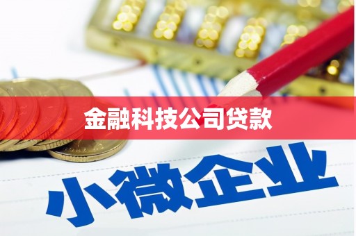西吉金融科技公司贷款