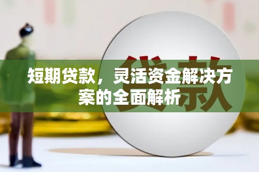 纳雍短期贷款，灵活资金解决方案的全面解析