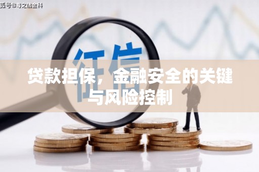 红安贷款担保，金融安全的关键与风险控制