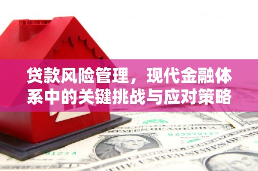 阿拉善左旗贷款风险管理，现代金融体系中的关键挑战与应对策略
