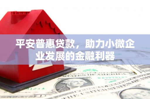 萝北平安普惠贷款，助力小微企业发展的金融利器