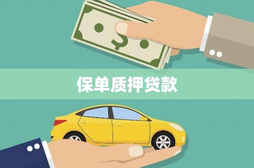 葵青保单质押贷款