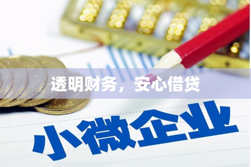 海伦透明财务，安心借贷