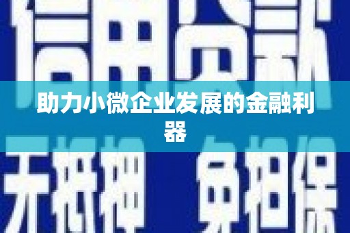 通山助力小微企业发展的金融利器