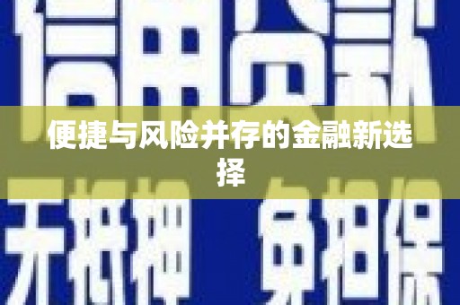 海安便捷与风险并存的金融新选择