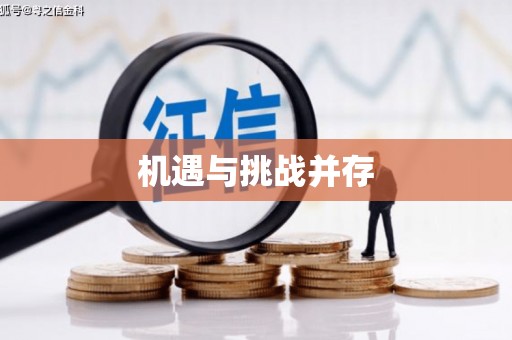 板桥机遇与挑战并存