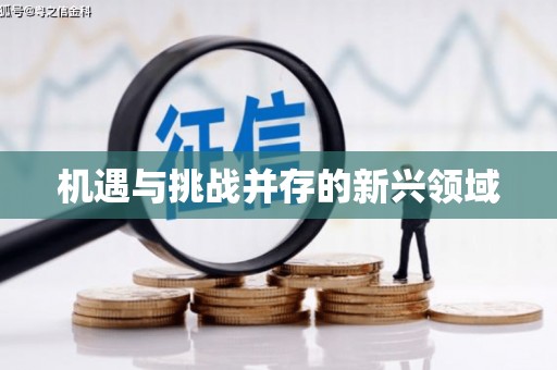南宁机遇与挑战并存的新兴领域