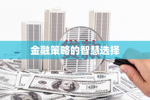 洛扎金融策略的智慧选择