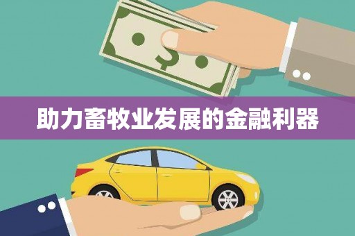 西海岸助力畜牧业发展的金融利器